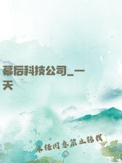 幕后科技公司