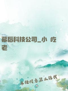 幕后科技公司
