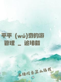 平平無(wú)奇的游戲管理員