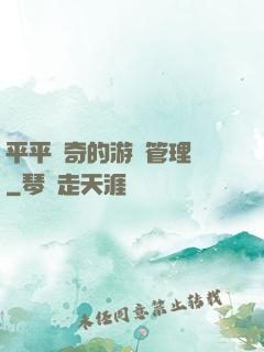 平平無奇的游戲管理員