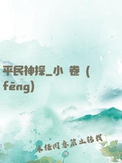 平民神探