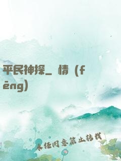 平民神探
