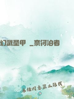 幻武圣甲錄