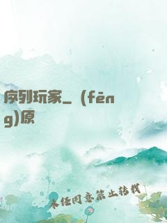 序列玩家