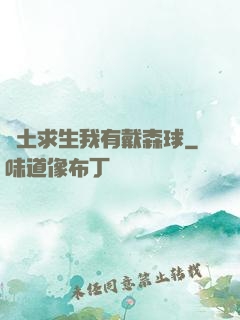 廢土求生我有戴森球