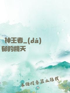 弒神王者