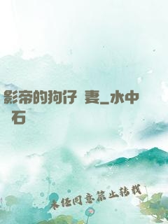 影帝的狗仔鮮妻