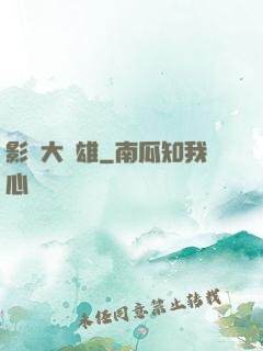 影綜大梟雄