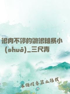 很肉不停的做很粗暴小說(shuō)