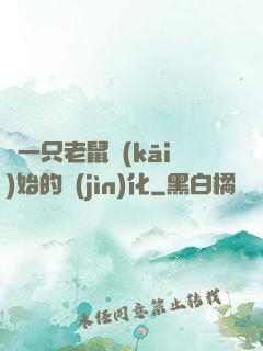 從一只老鼠開(kāi)始的進(jìn)化