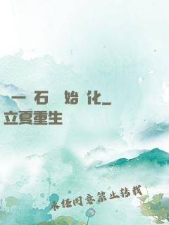 從一塊石頭開始進化