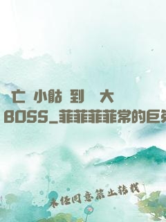 從亡靈小骷髏到終極大BOSS