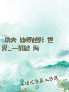 從功夫開始穿越影視世界