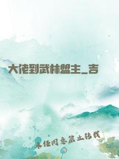 從大佬到武林盟主
