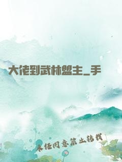 從大佬到武林盟主