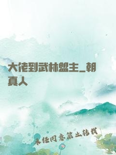 從大佬到武林盟主