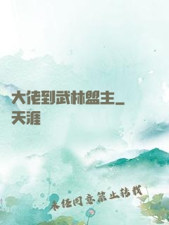 從大佬到武林盟主