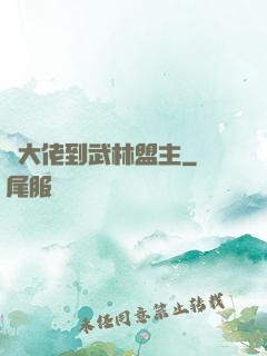 從大佬到武林盟主