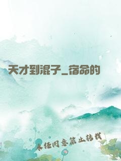 從天才到混子