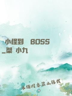從小怪到無敵BOSS