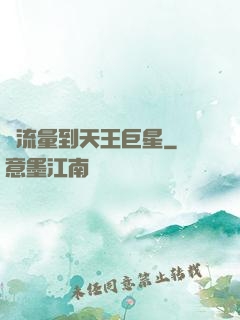 從流量到天王巨星
