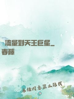 從流量到天王巨星