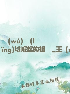 從無(wú)敵領(lǐng)域崛起的祖師爺