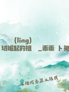 從無敵領(lǐng)域崛起的祖師爺