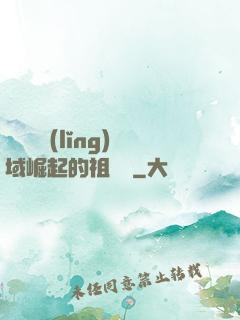 從無敵領(lǐng)域崛起的祖師爺