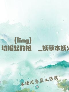 從無敵領(lǐng)域崛起的祖師爺
