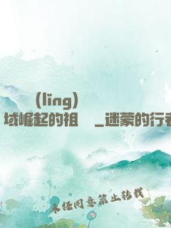 從無敵領(lǐng)域崛起的祖師爺