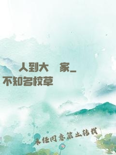 從經紀人到大娛樂家