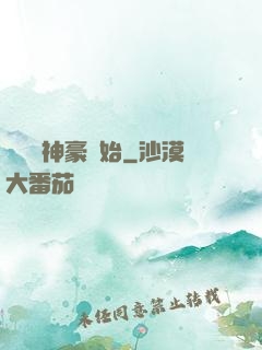 從網絡神豪開始