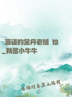 從苦逼的金丹老祖開始