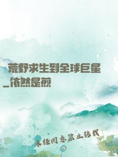從荒野求生到全球巨星