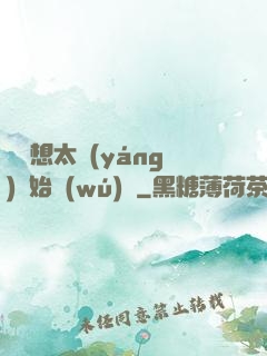 從觀想太陽(yáng)開始無(wú)敵