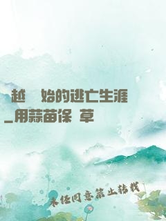 從越獄開始的逃亡生涯