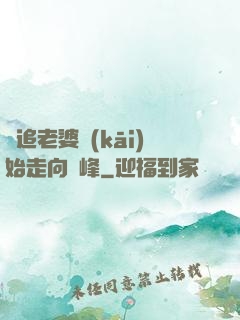 從追老婆開(kāi)始走向巔峰