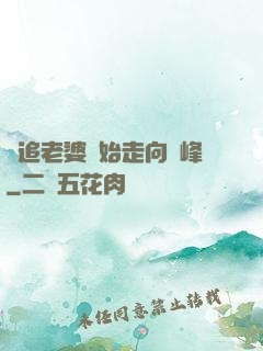 從追老婆開始走向巔峰