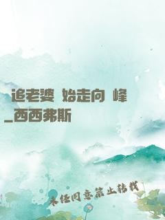 從追老婆開始走向巔峰