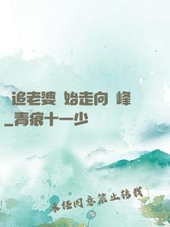 從追老婆開始走向巔峰