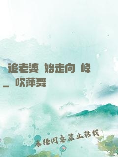 從追老婆開始走向巔峰