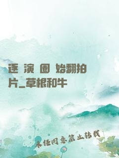 從逐夢演藝圈開始翻拍爛片