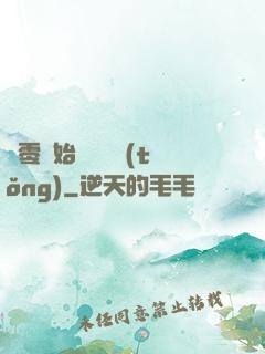 從零開始競選總統(tǒng)