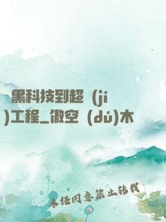 從黑科技到超級(jí)工程