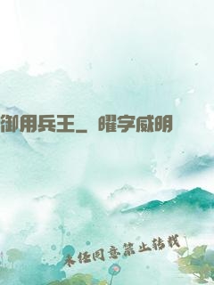 御用兵王