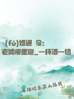 復(fù)婚通緝令：老婆哪里跑