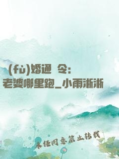 復(fù)婚通緝令：老婆哪里跑