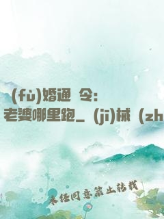 復(fù)婚通緝令：老婆哪里跑
