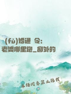 復(fù)婚通緝令：老婆哪里跑